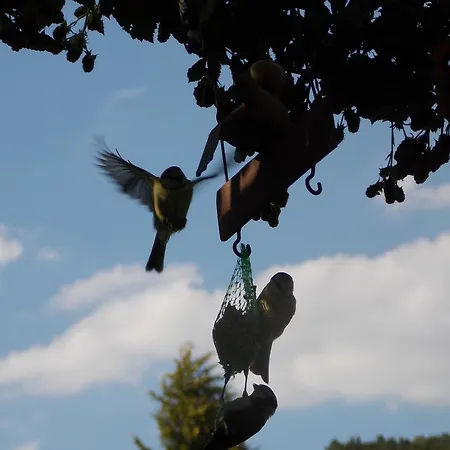 Otel Fasanenhof Eschwege