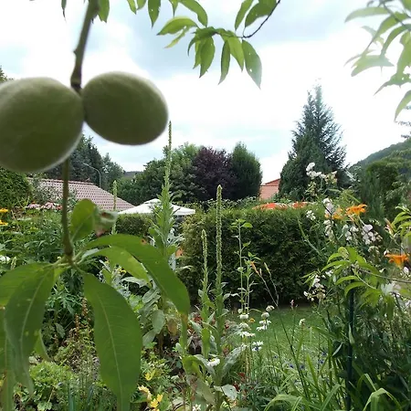 Fasanenhof 3* Eschwege