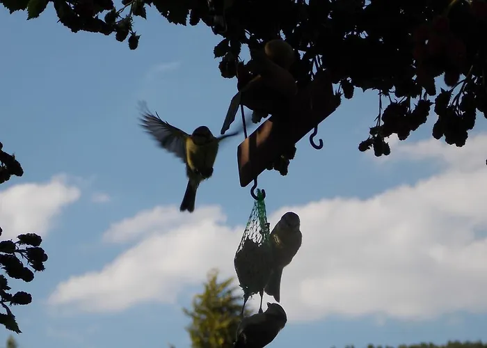 Hotel Fasanenhof Eschwege