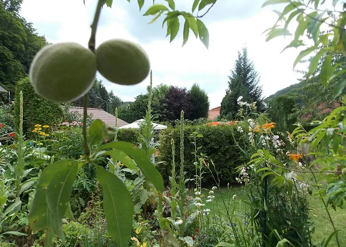 Fasanenhof 3* Eschwege